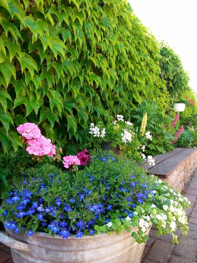 Kleines Zuhause Apartment Магдебург Екстериор снимка